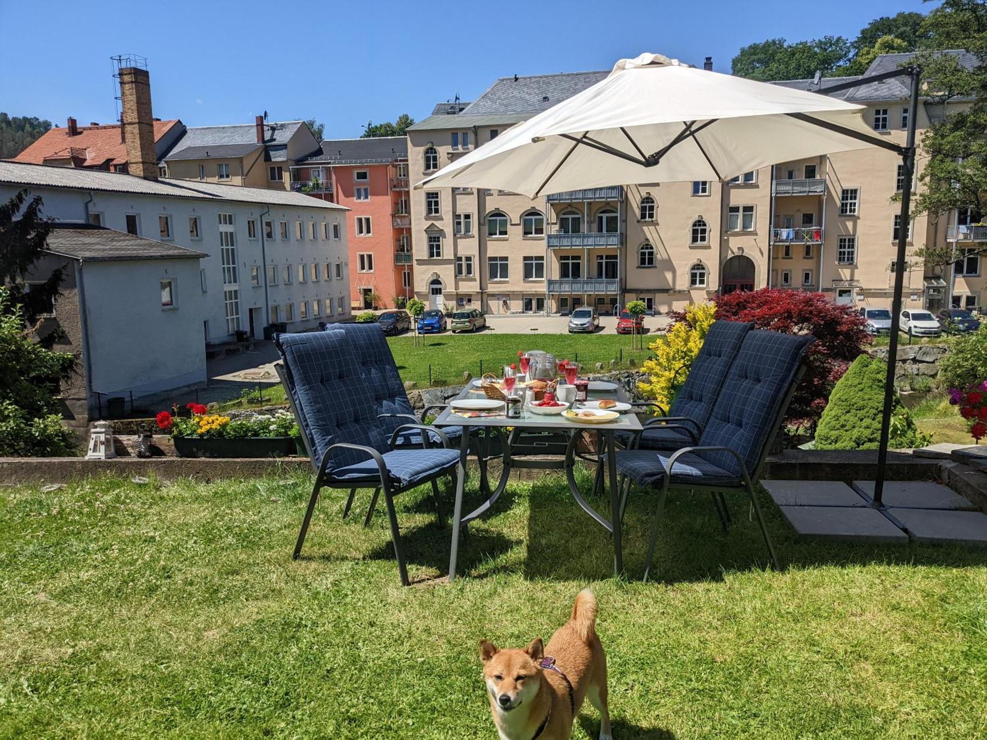 Uo - Urlaubsmagie - Helle Wohnung,sauna,whirlpool Sebnitz